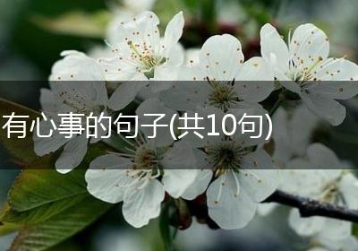有心事的句子(共10句)