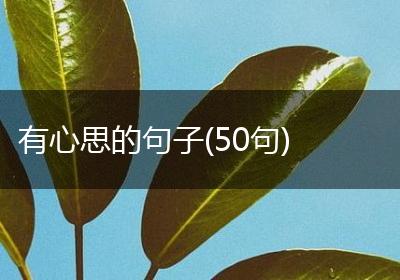 有心思的句子(50句)