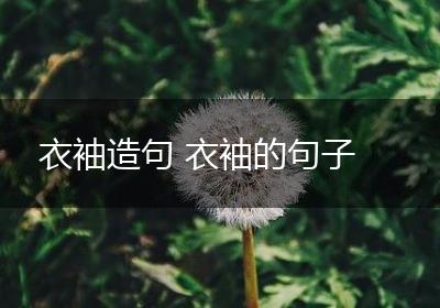 衣袖造句 衣袖的句子
