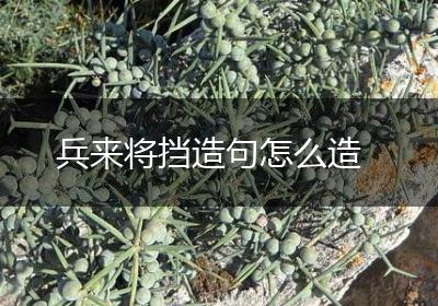 兵来将挡造句怎么造