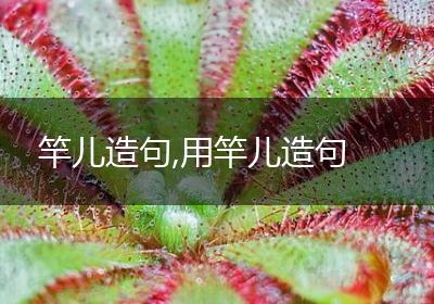 竿儿造句,用竿儿造句