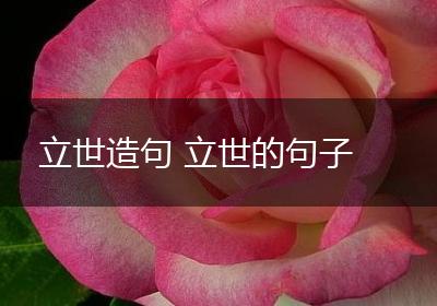 立世造句 立世的句子