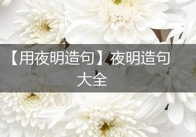 【用夜明造句】夜明造句大全
