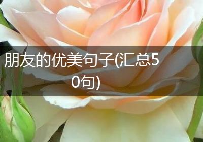 朋友的优美句子(汇总50句)