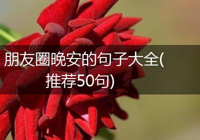 朋友圈晚安的句子大全(推荐50句)