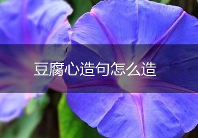 豆腐心造句怎么造
