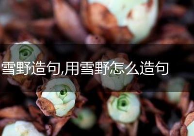 雪野造句,用雪野怎么造句