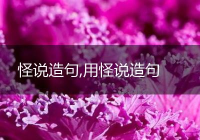 怪说造句,用怪说造句