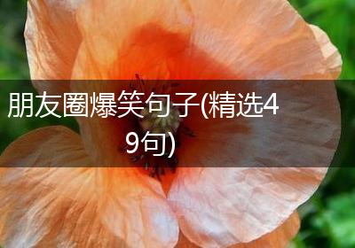 朋友圈爆笑句子(精选49句)