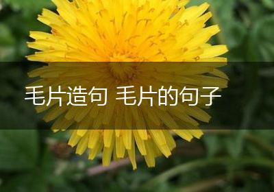 毛片造句 毛片的句子