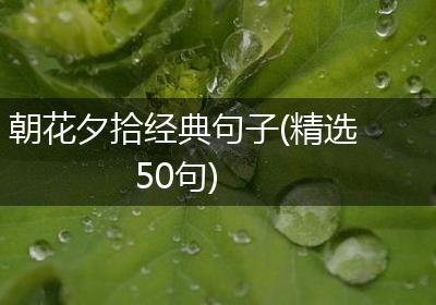 朝花夕拾经典句子(精选50句)