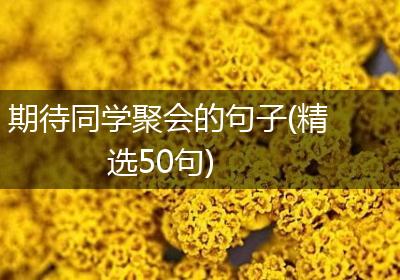期待同学聚会的句子(精选50句)
