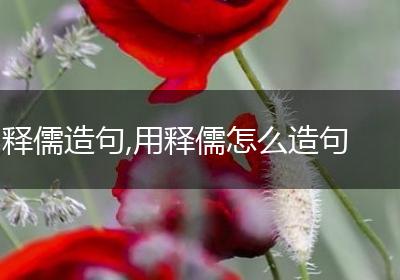 释儒造句,用释儒怎么造句