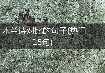 木兰诗对比的句子(热门15句)