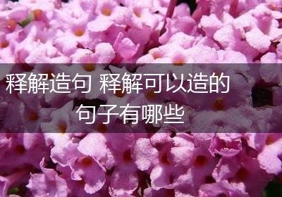 释解造句 释解可以造的句子有哪些