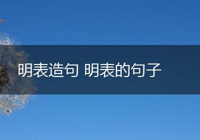 明表造句 明表的句子