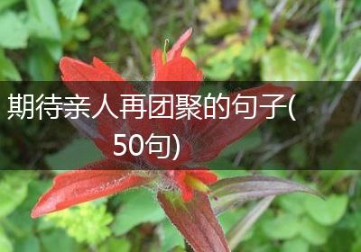 期待亲人再团聚的句子(50句)
