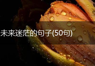 未来迷茫的句子(50句)