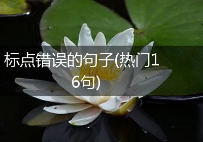 标点错误的句子(热门16句)