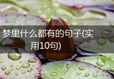 梦里什么都有的句子(实用10句)