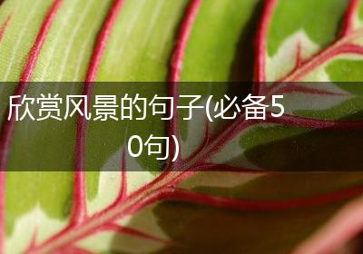 欣赏风景的句子(必备50句)