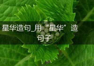 星华造句_用“星华”造句子