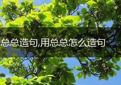 总总造句,用总总怎么造句