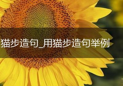 猫步造句_用猫步造句举例