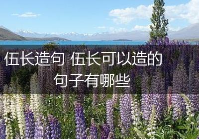 伍长造句 伍长可以造的句子有哪些