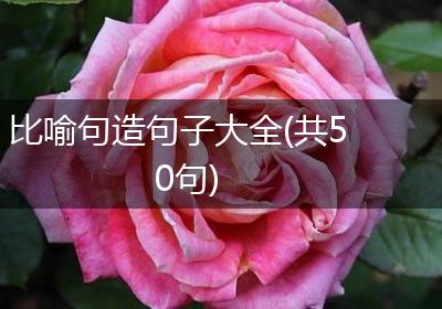 比喻句造句子大全(共50句)