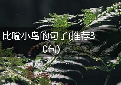 比喻小鸟的句子(推荐30句)
