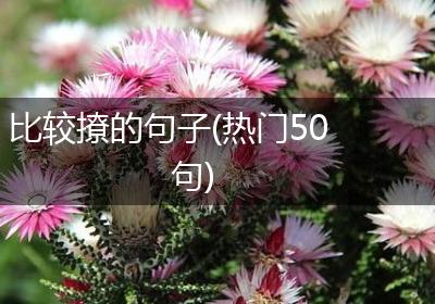 比较撩的句子(热门50句)