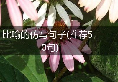 比喻的仿写句子(推荐50句)