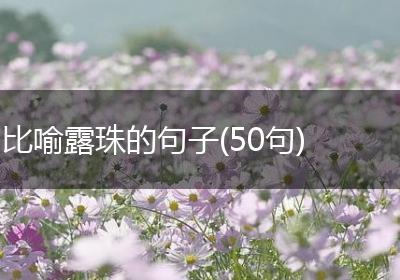 比喻露珠的句子(50句)