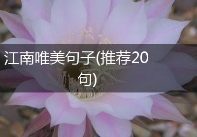 江南唯美句子(推荐20句)