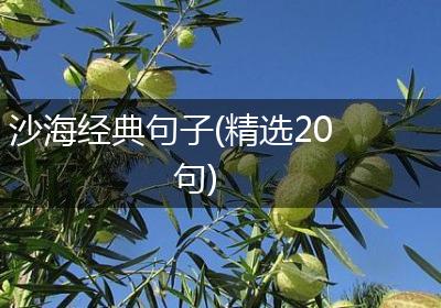 沙海经典句子(精选20句)