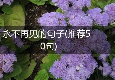永不再见的句子(推荐50句)