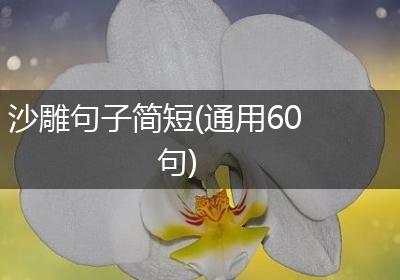 沙雕句子简短(通用60句)
