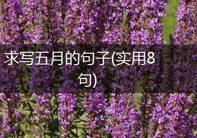 求写五月的句子(实用8句)