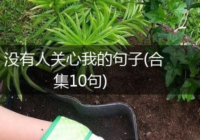 没有人关心我的句子(合集10句)