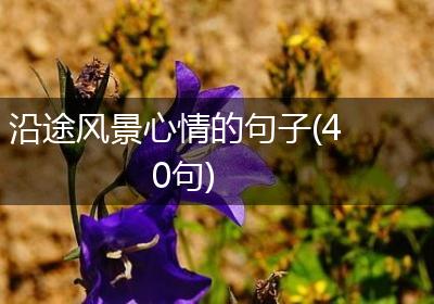 沿途风景心情的句子(40句)