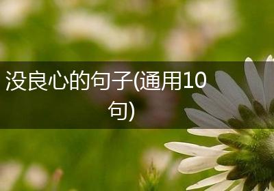 没良心的句子(通用10句)