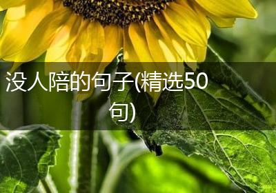没人陪的句子(精选50句)