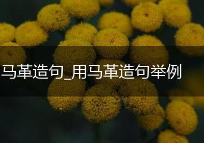 马革造句_用马革造句举例