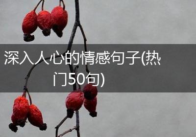 深入人心的情感句子(热门50句)