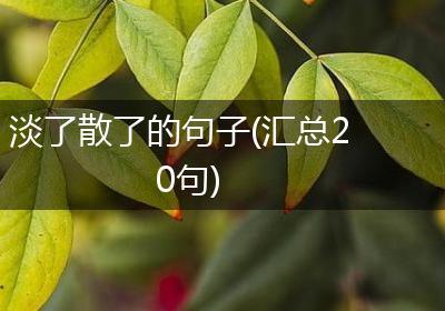 淡了散了的句子(汇总20句)