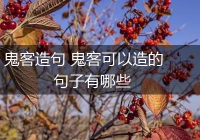 鬼客造句 鬼客可以造的句子有哪些