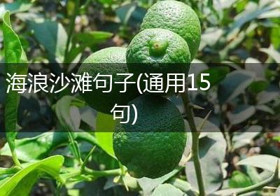 海浪沙滩句子(通用15句)