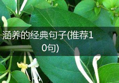 涵养的经典句子(推荐10句)