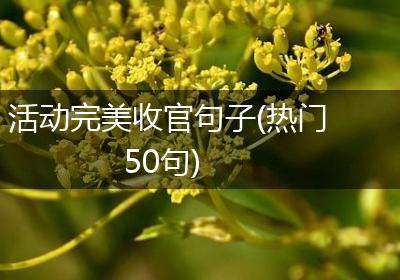 活动完美收官句子(热门50句)